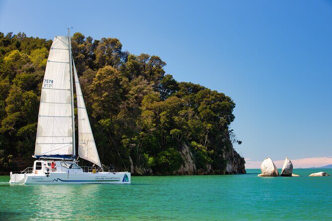 Sail, Seals, and Walk Tour in Abel Tasman - Key things to know before you go
