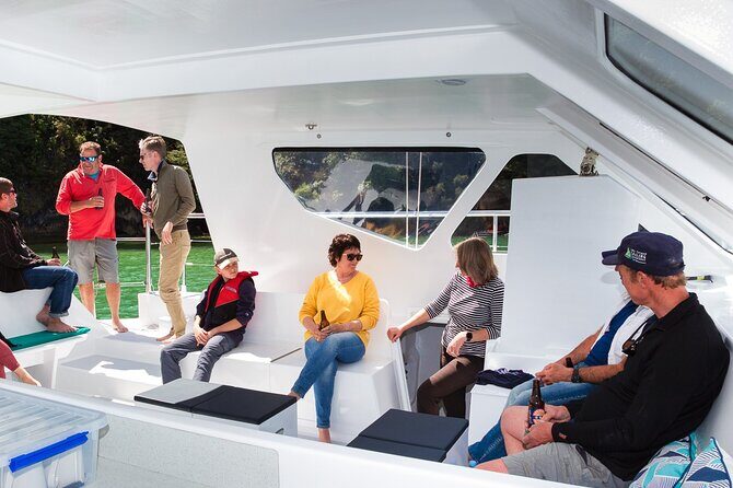 Sail, Seals, and Walk Tour in Abel Tasman - Included vs not included: plan your food and gear
