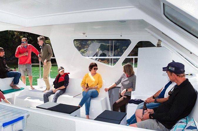 Sail, Seals, and Walk Tour in Abel Tasman - Who this tour suits best (and who should pick something else)
