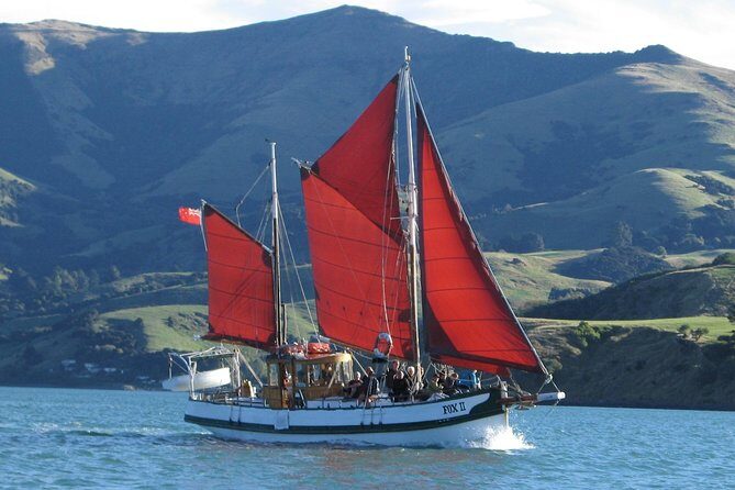 Sailing and Wildlife Tour Akaroa Fox II Sailing - Key things to know before you book Fox II Sailing Adventures