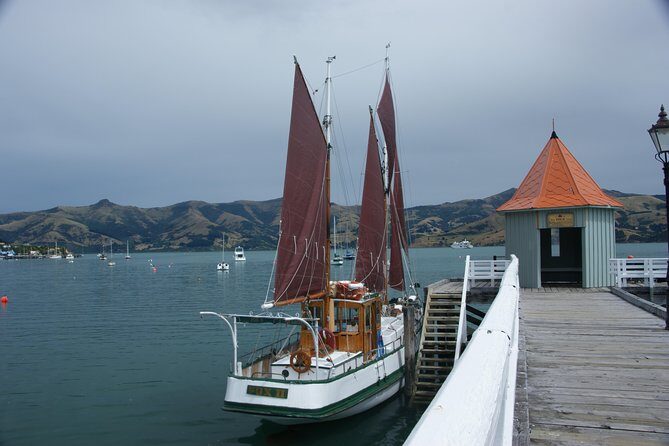 Sailing and Wildlife Tour Akaroa Fox II Sailing - Captain Roy and crew narration: facts you can actually use