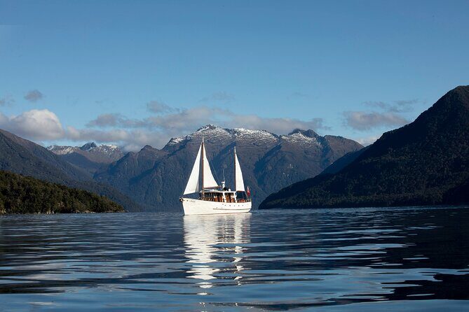 Scenic Cruise & Guided Walk on Historic Motor Yacht Lake Te Anau - Key things you’ll notice on this Lake Te Anau historic yacht outing