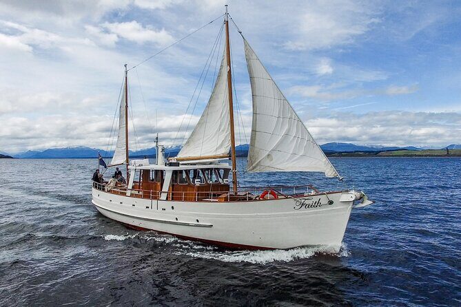 Scenic Cruise & Guided Walk on Historic Motor Yacht Lake Te Anau - Why this Lake Te Anau cruise feels different from a rushed tour