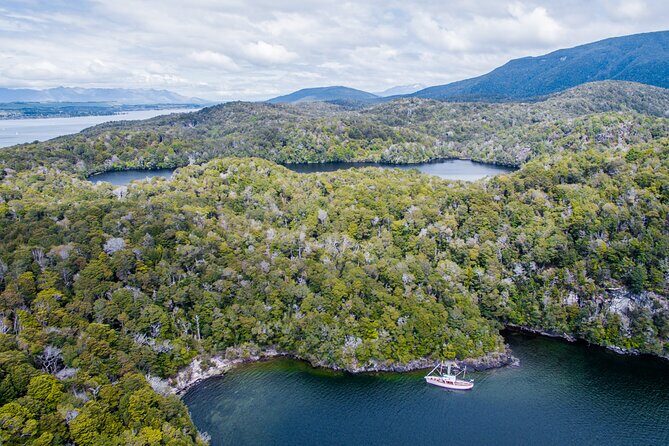 Scenic Cruise & Guided Walk on Historic Motor Yacht Lake Te Anau - First stop in Fiordland National Park (Te Wahipounamu): your short forest walk