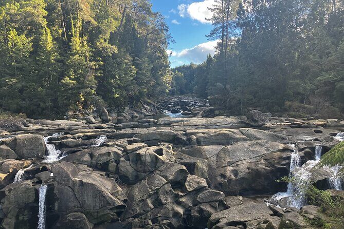 Scenic Short Hike Tour - Papamoa Hills and McLaren Falls - Key highlights to know before you go