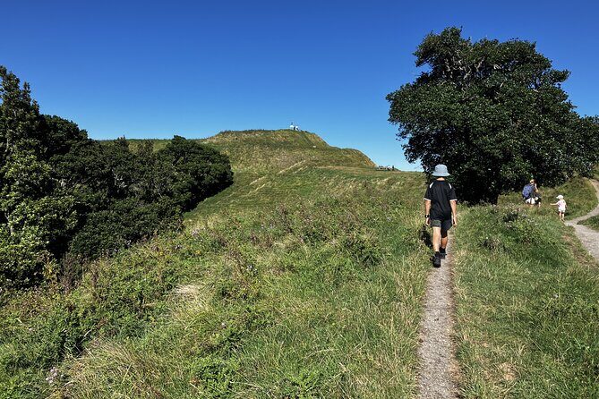 Scenic Short Hike Tour - Papamoa Hills and McLaren Falls - Pāpāmoa Hills Cultural Heritage Regional Park: climb, sheep spotting, and big panoramas