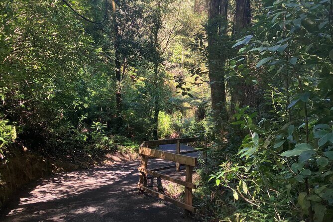 Scenic Short Hike Tour - Papamoa Hills and McLaren Falls - McLaren Falls Park and the Kaimai foothills: a change of pace