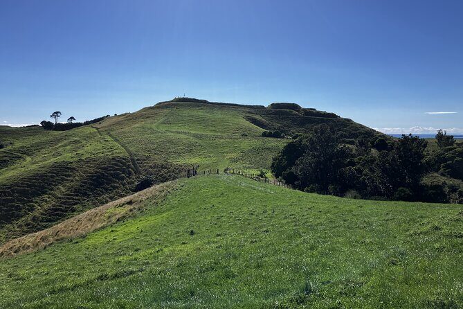 Scenic Short Hike Tour - Papamoa Hills and McLaren Falls - How the live guide, air-conditioned vehicle, and small group change the day