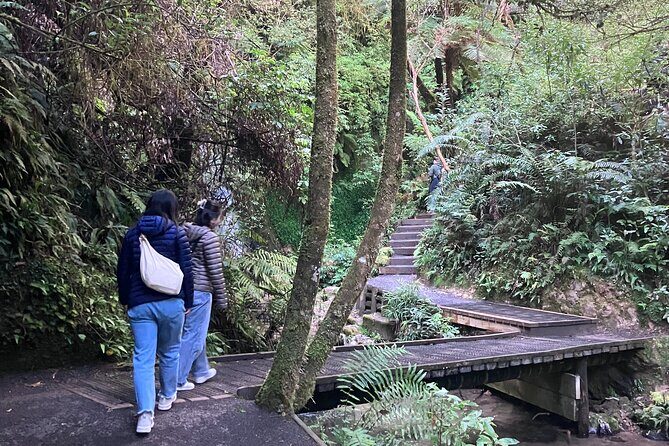 Scenic Short Hike Tour - Papamoa Hills and McLaren Falls - Price and value: is $80.05 per person a good deal?