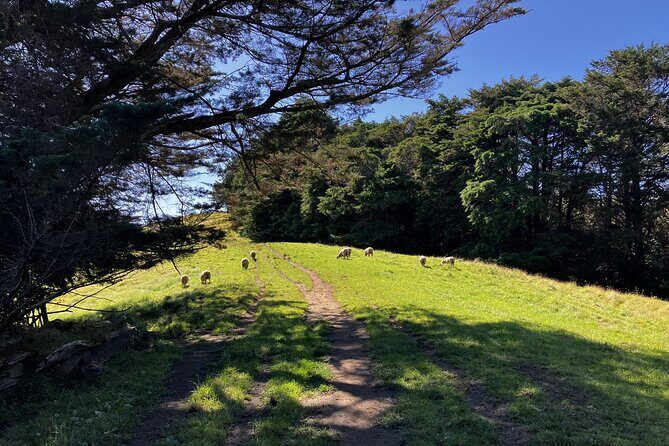 Scenic Short Hike Tour - Papamoa Hills and McLaren Falls - Who this tour suits best (and who should skip it)