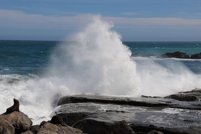 Scenic South Wairarapa Full Day Tour from Wellington - Key Things I’d Prioritize