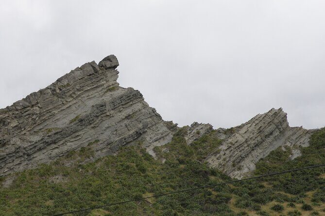 Scenic South Wairarapa Full Day Tour from Wellington - C’est Cheese and Schoc Chocolates: The Stops That Make It Feel Like a Food Day