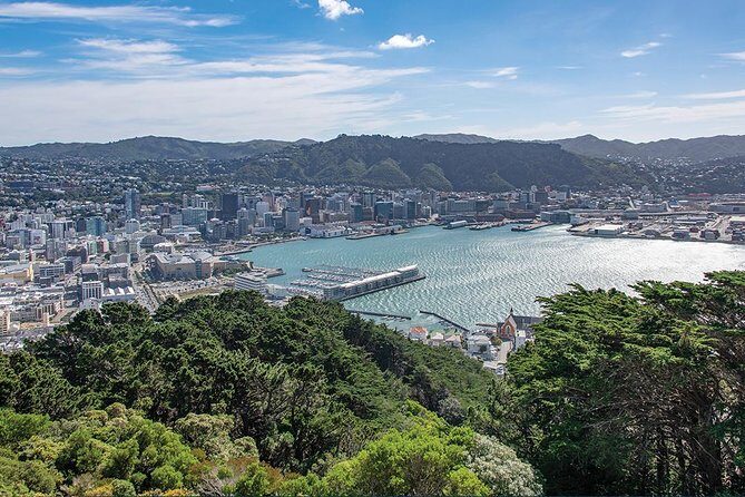 Scenic Wellington Helicopter Flight - Wellington’s Highlights From Above: Parliament, the Museum, and the Coast