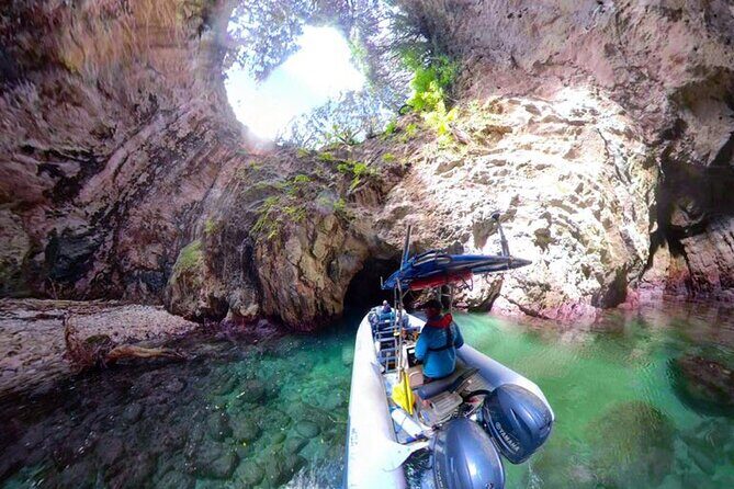 Sea Cave Adventures in the Coromandel - Key Highlights You’ll Feel Fast