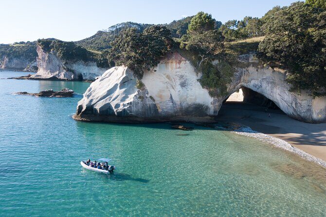 Sea Cave Adventures in the Coromandel - Wildlife on a Seasonal Coast