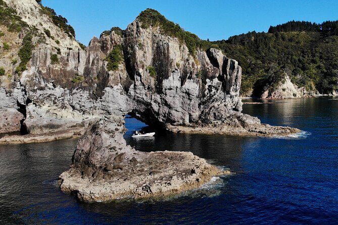 Sea Cave Adventures in the Coromandel - Price and Value: Is $93 Reasonable?