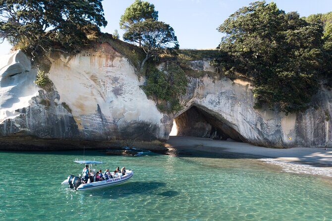 Sea Cave Adventures in Whitianga - Key Points That Matter Before You Go
