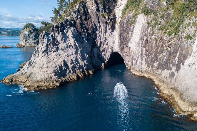 Sea Cave Adventures in Whitianga - Snorkeling in a Clear Cove: What’s Included and What to Bring