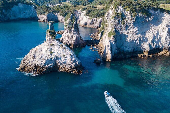Sea Cave Adventures in Whitianga - Wildlife Spotting: When the Coast Starts Moving