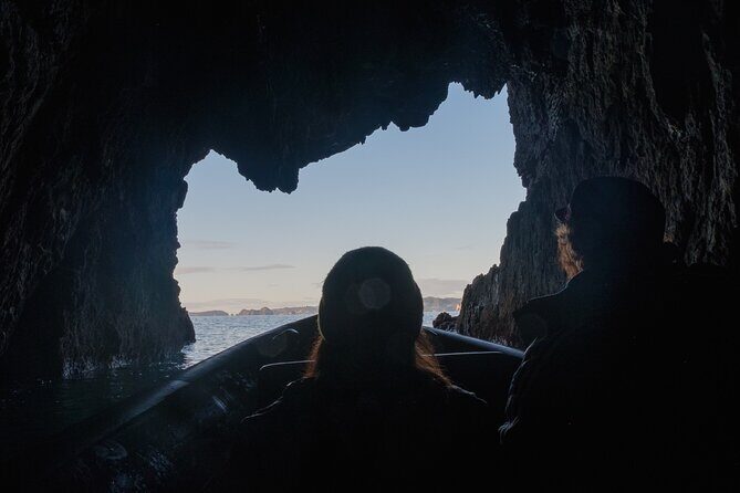 Sea Cave Adventures in Whitianga - Price and Value: Why $87 Can Feel Like a Deal Here