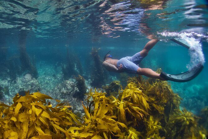 Sea Cave Adventures in Whitianga - Departing from Whitianga Wharf: The Start That Sets the Tone