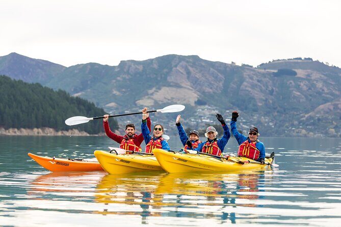 Sea Kayaking Christchurch, Lyttelton Harbour & Quail Island - Key Reasons This Sea Kayak Day Works So Well