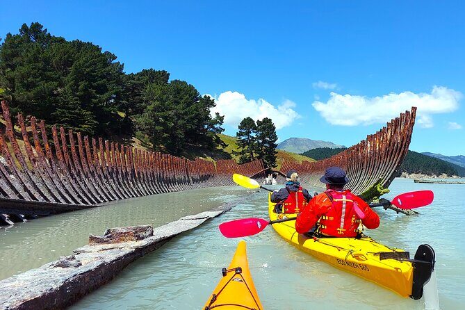 Sea Kayaking Christchurch, Lyttelton Harbour & Quail Island - Quail Island Stop: Caves, Beaches, and the Ship’s Graveyard