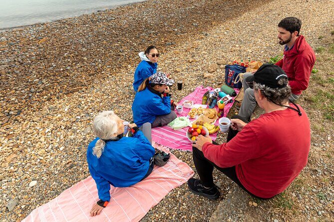 Sea Kayaking Christchurch, Lyttelton Harbour & Quail Island - The Beach Picnic Lunch: Food That Actually Helps You Paddle