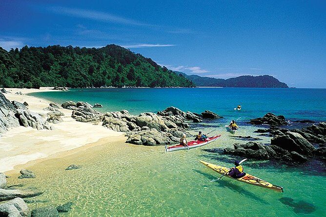 Seal Sanctuary Tour - Guided Kayaking - New Zealand - Stop for Lunch: A Beach Break That Recharges You