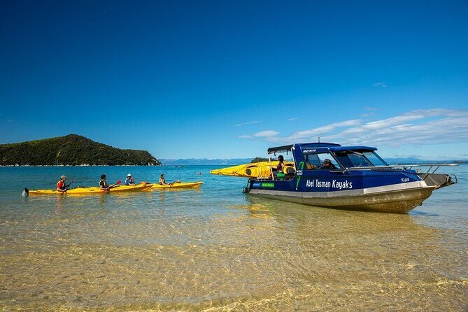Seal Sanctuary Tour - Guided Kayaking - New Zealand - Gear and Comfort: The “Small Stuff” That Makes or Breaks It