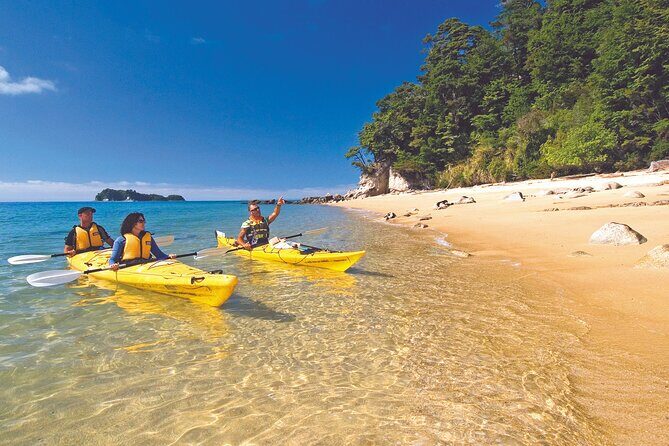 Seal Sanctuary Tour - Guided Kayaking - New Zealand - Price and Value: Why $161.35 Can Make Sense