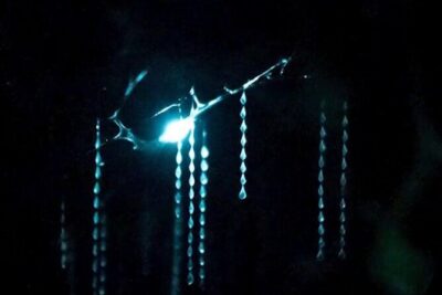 See Auckland's Secret Glow Worms - From 99 Quay Street to native bush: how the evening runs