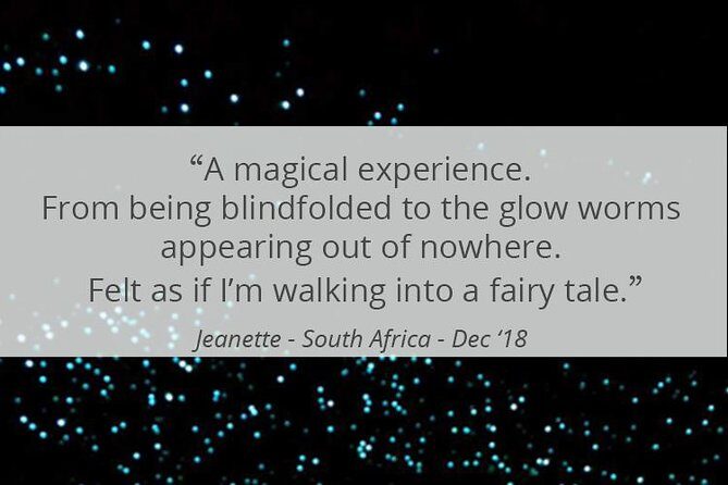 See Auckland's Secret Glow Worms - Private Tour Benefits You Can Actually Feel