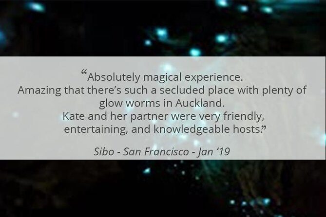 See Auckland's Secret Glow Worms - Practical Tips for a Better Night (Based on How This Walk Feels)