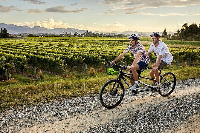 Self-Guided Biking Wine Tour (full day) in the Marlborough Region. - The ride itself: how cycling feels around Blenheim wineries