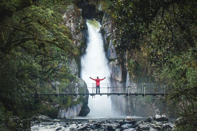Self-Guided Milford Track Day Walk - Milford Sound - What to expect at Sandfly Point (and how the return pickup works)