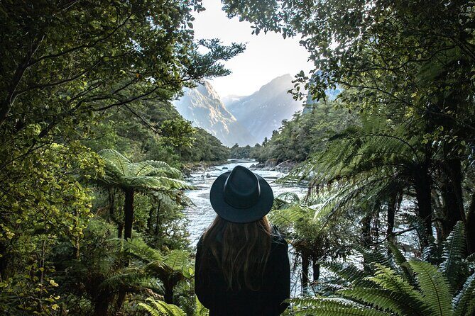 Self-Guided Milford Track Day Walk - Milford Sound - Milford Sound time: why this short walk fits so well