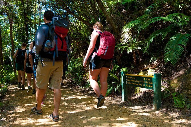 Self-Guided Queen Charlotte Track Walk from Picton - The timing that can make or break your day (back to Picton by 5:30–6:00)