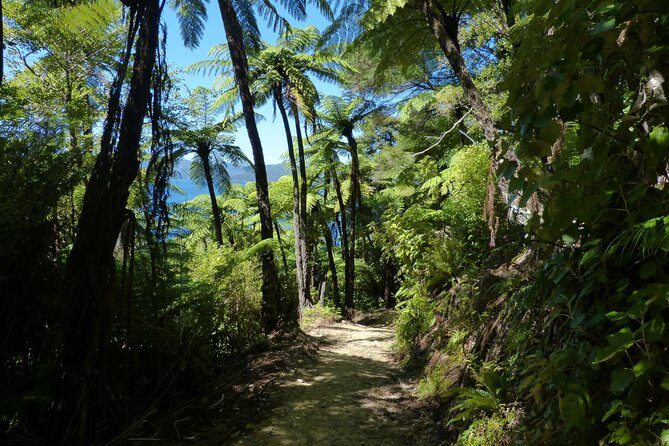Self-Guided Queen Charlotte Track Walk from Picton - On the water: what the boat ride really adds