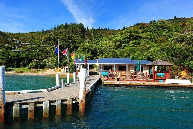 Self-Guided Queen Charlotte Track Walk from Picton - Self-guided hiking: what you’ll feel on the track