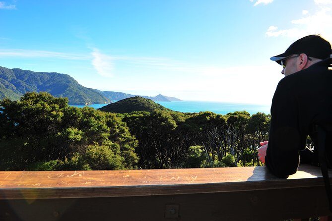 Self-Guided Queen Charlotte Track Walk from Picton - The turnaround point: waiting with views, not stress