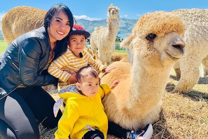 Shamarra Alpaca Farm Tours - Key things I’d circle before you go