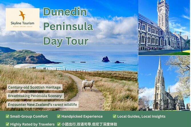 Shared Small Group Dunedin City and Peninsula Scenery Day Tour - From Port Chalmers to Signal Hill: your first view of Dunedin