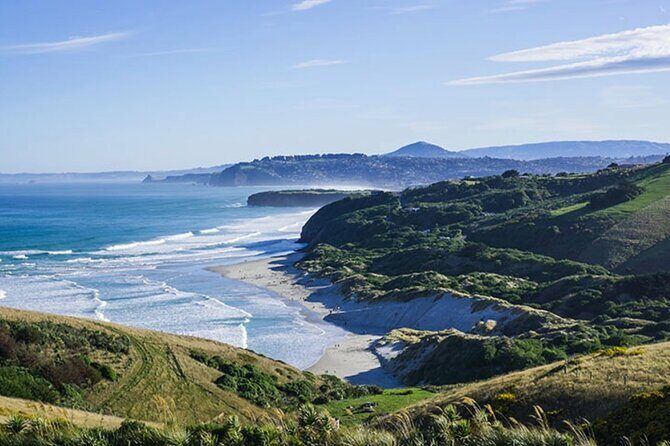 Shared Small Group Dunedin City and Peninsula Scenery Day Tour - Otago Peninsula lookouts: Sir Leonard Wright and Sandfly Bay