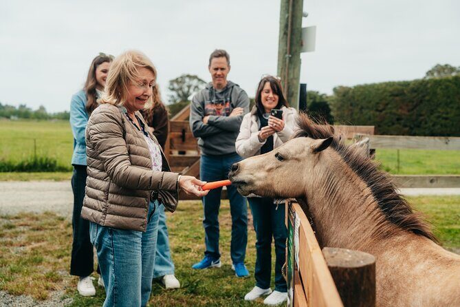 Sheep Farm Day Trip from Christchurch + Lunch and Winery visit. - Christchurch Botanic Gardens stop: a short reset with a kiwi guide