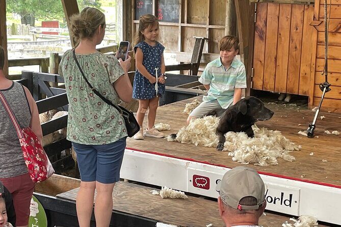 Sheep World Country Tour from Auckland - Value check: what $175.04 buys you in real terms