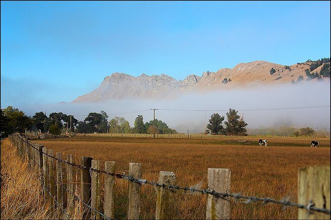 Shore Excursion: 4-Hour Discover Hawkes Bay and Napier Tour - Te Mata Peak: 360-degree views from 399 meters