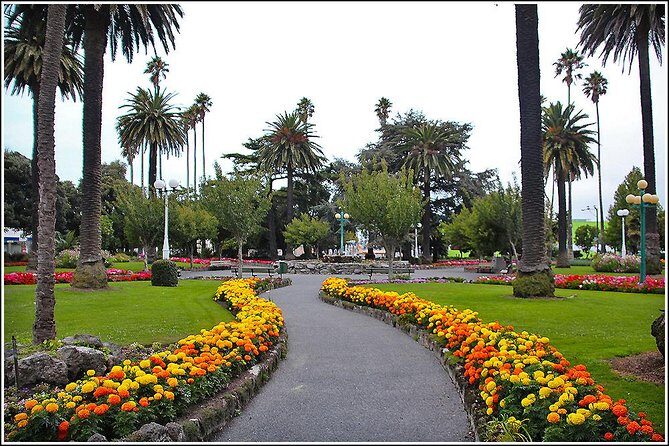 Shore Excursion: 4-Hour Discover Hawkes Bay and Napier Tour - Price and value: what $83.78 is buying you