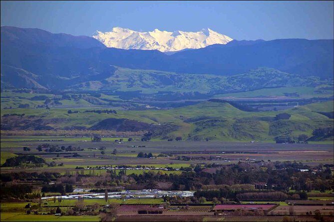 Shore Excursion: 4-Hour Discover Hawkes Bay and Napier Tour - Who should book this tour (and who should maybe skip it)