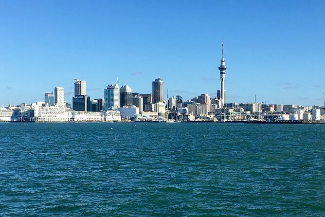 Shore Excursion: Auckland Scenic Full Day Tour - 8 Hours - Key points before you go